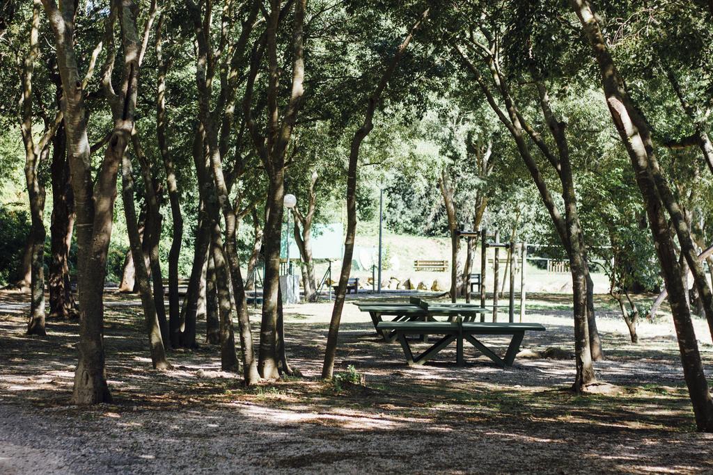 Camping Le Bois Fleuri Argeles-sur-Mer Bagian luar foto